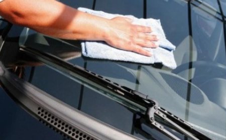 Cara Mudah Menghilangkan Jamur di Cat Mobil Kesayangan dan Pencegahannya