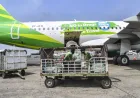 Bagasi Gratis Citilink Kembali Jadi 15 Kg Mulai Maret 2026