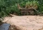 Jembatan Gantung Desa Bunut Putus Akibat Banjir, Aktivitas Warga Lumpuh