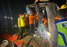 Kecelakaan Maut Bus Tabrak Pikap di Tol Pejagan, 1 Pemudik Tewas