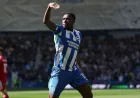 Hasil Brighton vs Liverpool 2026: Danny Welbeck Cetak Dua Gol, The Reds Tersungkur 2-1