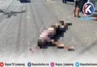 Kecelakaan Pasar Liwa Lampung Barat: Pengendara Motor Tergeletak Bersimbah Darah
