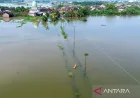 Banjir Rendam Ratusan Rumah di Beji Pasuruan, Ini Dampaknya