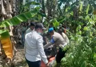 Mayat Korban Banjir Aceh Utara Ditemukan Kembali di Kebun Warga
