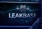 Admin LeakBase Ditangkap di Rusia atas Pasar Gelap Data Curian Terbesar