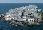 Pulau Terpadat di Dunia Pulau Migingo Jadi Rebutan Kenya dan Uganda
