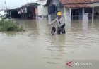 Banjir Luapan Sungai Comal Rendam 16 Desa di Pemalang, Ini Dampaknya