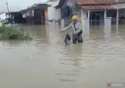 Sungai Comal Meluap: 6.727 Rumah di Pemalang Terendam Banjir Hebat