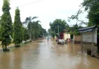 Banjir di Jombang Rendam 60 Rumah Akibat Sumbatan Sampah di Sungai Marmoyo
