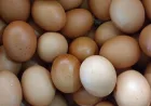 Harga Telur AS Melonjak 186% dalam Sebulan, Ini Penyebab dan Dampaknya