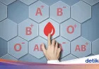 Golongan Darah dan Risiko Diabetes Tipe 2: Studi Terbaru Ungkap Fakta Penting