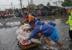Banjir Pekalongan: 254 Warga Mengungsi Akibat Tanggul Sungai Bremi Jebol
