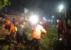BPBD Kota Malang Tangani Pohon Tumbang dan Banjir Akibat Cuaca Ekstrem