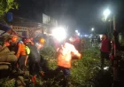 Banjir dan Pohon Tumbang Melanda Malang: 16 Titik Terendam dan Kendaraan Rusak