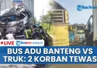 Kecelakaan Maut Bus Adu Banteng Vs Truk di Situbondo: Ayah dan Anak Tewas
