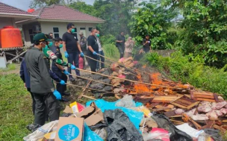 PLBN Entikong Musnahkan Ribuan Kg Media Pembawa HPHK untuk Cegah Penyakit Karantina