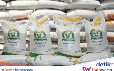 Pemerintah Salurkan Bansos Beras dan Minyak Goreng ke 33 Juta Orang 2026