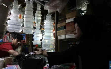 Warga Indonesia Juara 1 Konsumsi Mikroplastik Dunia, Ini 5 Sumber Utamanya