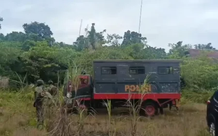 Satgas Damai Cartenz Dalami Kelompok Kriminal Politik di Papua
