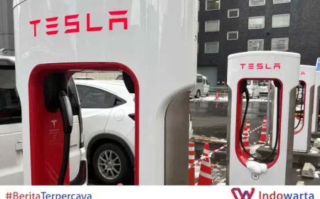 Local players join Tesla's quest to dominate EV charging in Japan