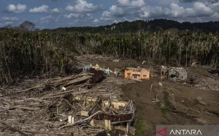 Jalur pulang sang pembalak liar