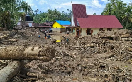 Restrukturisasi Kredit OJK Capai Rp12,6 Triliun untuk 246 Ribu Korban Bencana Sumatra