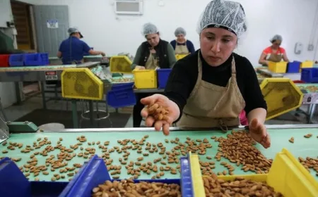 Konsumsi Kacang Rutin Turunkan Risiko Mati Muda Akibat Penyakit Jantung