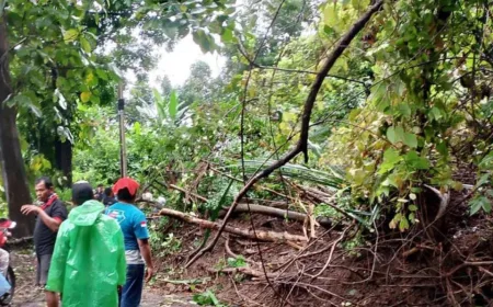 Longsor Setinggi 3 Meter Tutup Jalan Nasional Sukabumi, Akses Terhambat