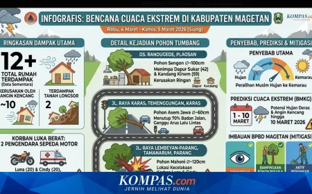 Hujan Deras dan Angin Kencang Landa Magetan, Puluhan Pohon Tumbang dan Longsor Terjadi