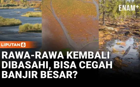 Lahan Basah Jadi Senjata Ampuh Lawan Banjir: Dari Pengeringan ke Pemulihan