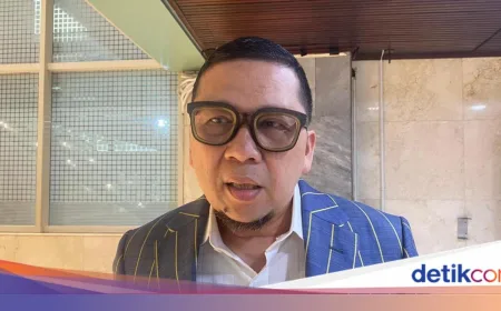 Waketum Golkar Minta Bupati Fadia Fokus Proses Hukum, Sindir Dalih Musisi
