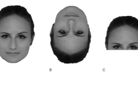 Perbedaan Wajah Orang Kaya dan Miskin Terungkap Lewat Riset Universitas Toronto