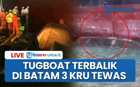 Kecelakaan Tug Boat di Galangan Kapal ASL Batam Tewaskan 3 Kru, 1 Masih Dicari