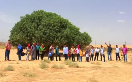 Pohon Sahabi di Yordania, 'Sahabat' Nabi Muhammad yang Masih Hidup Lebih 1400 Tahun