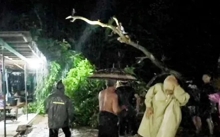 Banjir Situbondo Terjang 50 Rumah Akibat Luapan Sungai Curah Udang