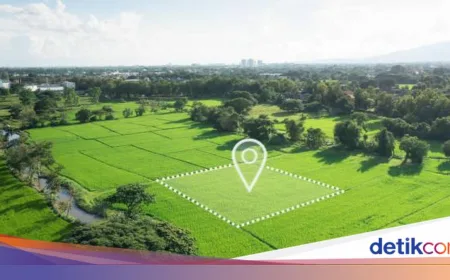 Bank Tanah Jelaskan Ciri Tanah Telantar yang Bisa Dicaplok Negara Menurut PP 48/2025