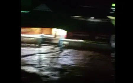 Banjir Bandang Situbondo Terparah: 8.000 Rumah Terdampak dan Pohon Tumbang