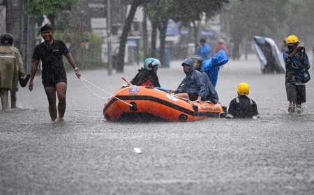 Banjir dan Pohon Tumbang Terjang 9 Kecamatan di Situbondo, Ini Dampaknya