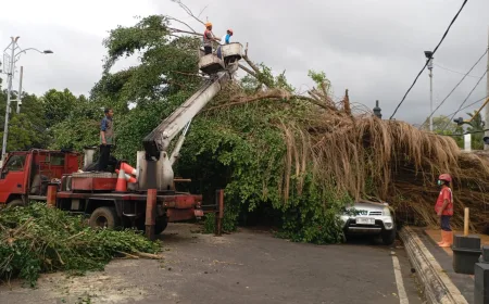 Cuaca Ekstrem di Batang Picu Longsor, Banjir, dan Pohon Tumbang di 5 Kecamatan