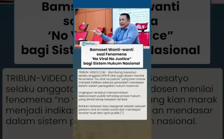 Bamsoet Wanti-wanti Fenomena No Viral No Justice: Ancaman bagi Sistem Hukum Nasional