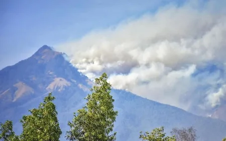 Menhut Serahkan SK Perhutanan Sosial 560 Hektare di NTB, Jalani Perintah Prabowo
