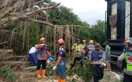 Hujan Lebat di Batang Picu Longsor dan Banjir di 5 Kecamatan, Ini Dampaknya