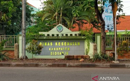 Kasus DBD di Sidoarjo Turun Drastis Saat Musim Penghujan 2026