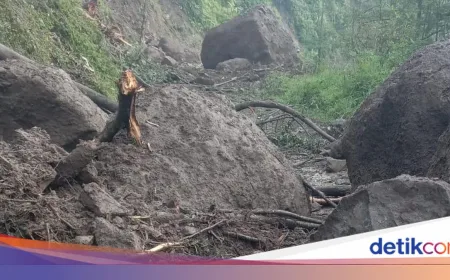 Longsor Bukit di Jepara Tutupi Jalan Desa Tempur dengan Batu Besar