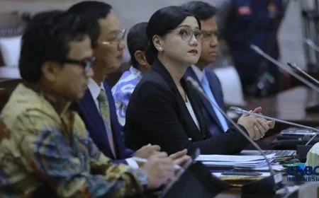Komisi XI DPR Setujui 5 Nama Pemimpin OJK, Friderica Widyasari Ketua