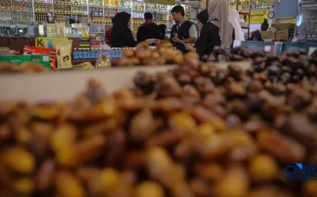 Sejarah dan Kontroversi Kurma Israel: Produk Dijual dengan Merek Samaran di Eropa