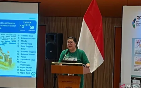 Biaya Penanganan Gagal Ginjal 2025 Lampaui Penyakit Jantung, Ini Faktanya