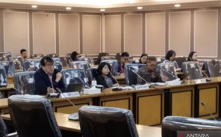 RUU HPI Atur Konser Artis Internasional hingga Perkawinan WNI di Luar Negeri