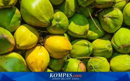 Permintaan Kelapa Indonesia Meningkat Karena Tren Kopi Santan di China