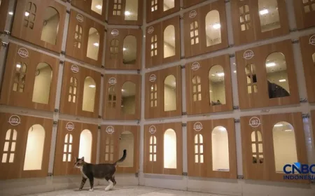 Hotel Khusus Kucing di Jakarta Penuh Booking Saat Lebaran 2026